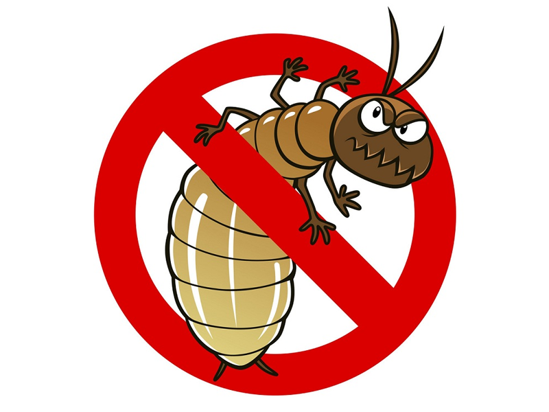 Diệt mối Bình Định